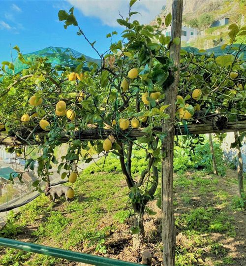 amalfi-casa-floreal-2